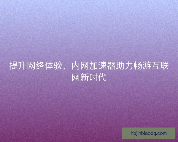 提升网络体验,内网加速器助力畅游互联网新时代 提升网络体验,内网加速器助力畅游互联网新时代