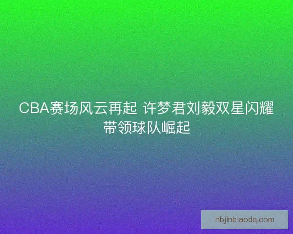 CBA赛场风云再起 许梦君刘毅双星闪耀带领球队崛起