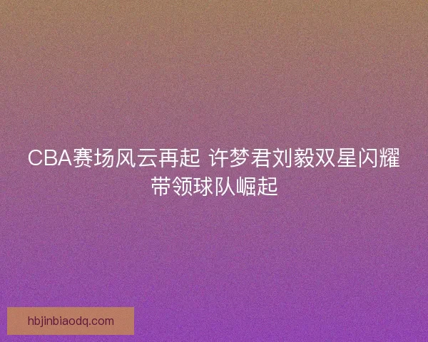 CBA赛场风云再起 许梦君刘毅双星闪耀带领球队崛起